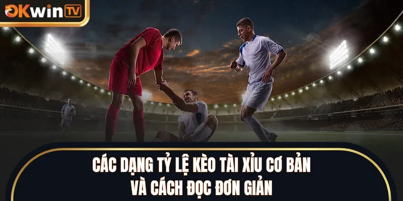 Các dạng tỷ lệ kèo Tài Xỉu cơ bản và cách đọc đơn giản