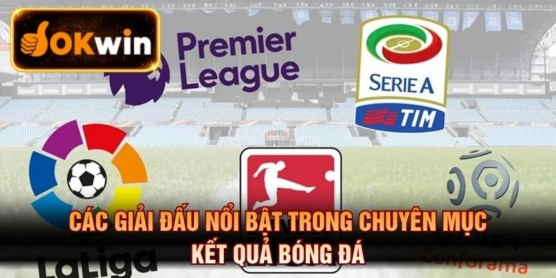 Các giải đấu nổi bật trong chuyên mục kết quả bóng đá