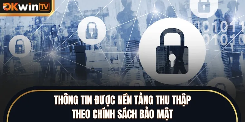 Thông tin được nền tảng thu thập theo chính sách bảo mật